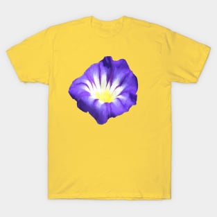 Dwarf Morning Glory Convolvolus Tricolor Vector Blue T-Shirt